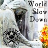 Slow Down World