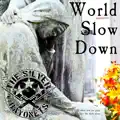 Slow Down World