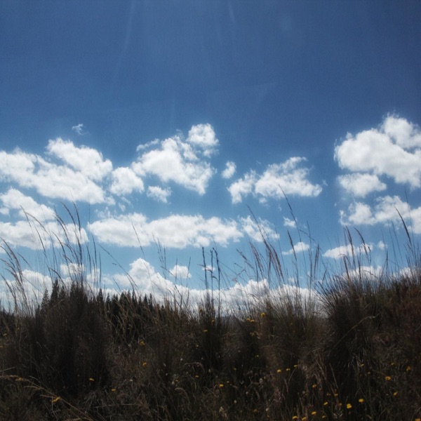 Flor de Loto - Single