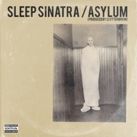 Asylum - Single - Sleep Sinatra