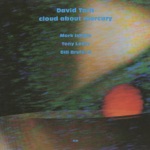 David Torn - The Mercury Grid