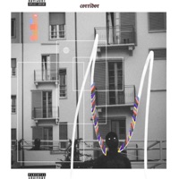 Corridor - Single - Newman