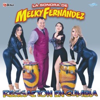La Sonora de Melky Fernandez - Bonita