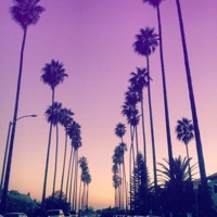 Vertigo - Single - Karmawin