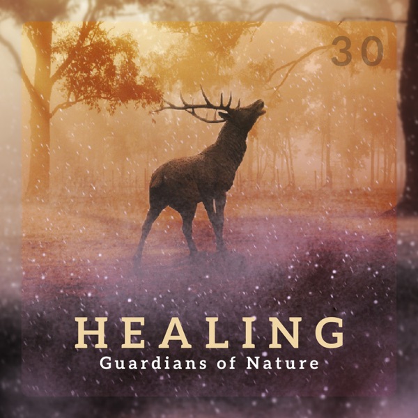 30 Healing Guardians of Nature: Emotional Relief Sanctuary, Influence of Silence, Dreams Protection, Calming Balance