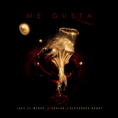 Me Gusta (feat. Karlon & Alexander Bandz) - Single