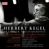 Symphony No. 5 in C Minor, Op. 67: I. Allegro con brio artwork