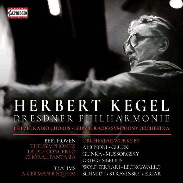 Beethoven, Brahms & Others: Orchestral Works