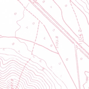 B2