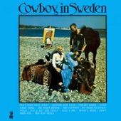 Cowboy in Sweden artwork