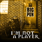 I'm Not a Player EP artwork