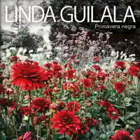 Primavera Negra — Linda Guilala