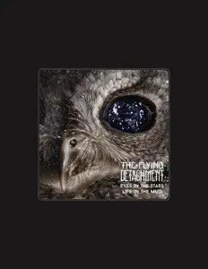 The Flying Detachment: песни, клипы, биография, даты выступлений и многое другое.