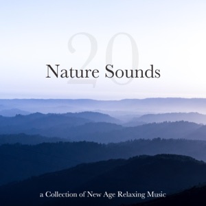 20 Nature Sounds - A Collection of New Age Relaxing Music, Nature Sounds, Rain, Ocean Waves