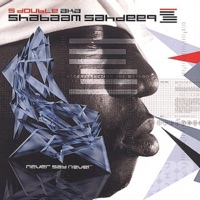 Never Say Never - Shabaam Sahdeeq
