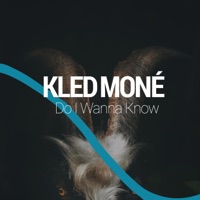 Do I Wanna Know (feat. Anastasia) - Single - Kled Mone