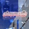 Sleep Tight Love (feat. W. Baer) - Lila Tirando a Violeta lyrics
