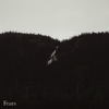 All Things Considered - Fears