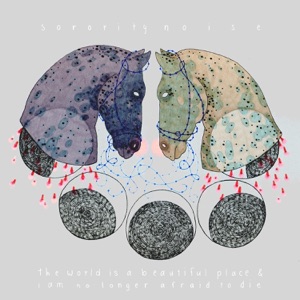 Split - Single