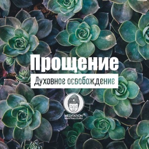 Прощение: Духовное освобождение, Спокойствие души, Особенная коллекция для медитации, Суть жизни, Размышления, Покой, Хорошое самочувствие