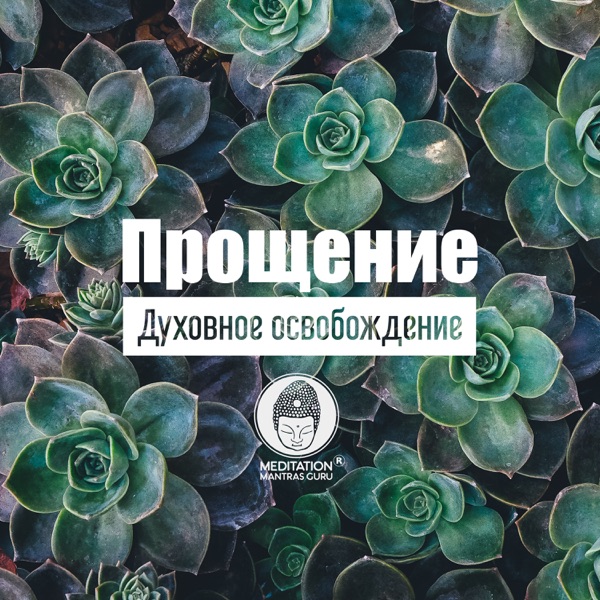 Прощение: Духовное освобождение, Спокойствие души, Особенная коллекция для медитации, Суть жизни, Размышления, Покой, Хорошое самочувствие