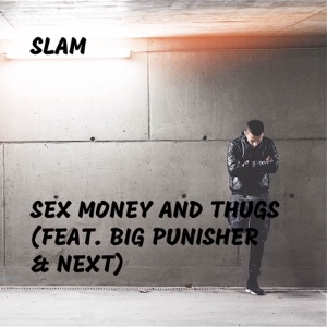 Sex Money and Thugs (feat. Big Punisher & Next) - Single