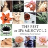 The Best of Spa Music Vol. 2: 34 Relaxing Pure Nature, Total Serenity, Wellness Center Treatment, Massage Therapy, Mindful Rest & Sleep