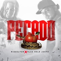 Pecado (feat. Alex Malajunta) - Single - Migueltom