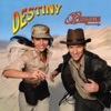 Destiny (Da Flip Remix) cover art