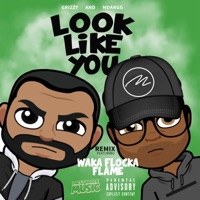 Look Like You (feat. Waka Flocka & M Dargg) [Brick Squad Remix] - Single - GR1ZZY