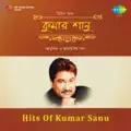 Aar Katokal Ami Saibo