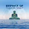 Spirit of Chinese Music