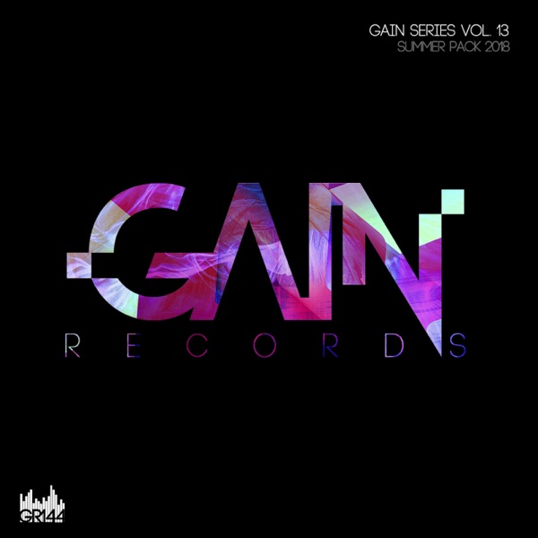 Gain Series, Vol. 13