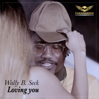 Wally B. Seck - Loving You