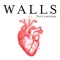 Walls - The Lumineers lyrics