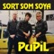 Alt Det vi Siger - Pupil lyrics