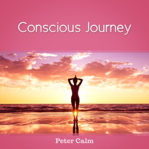 Conscious Journey