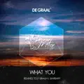 What You (Barbary Remix)