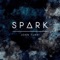 Spark - John Turri lyrics