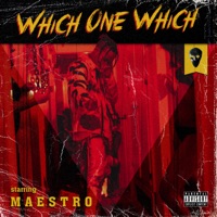Which One Which - Single - M A E S T R O