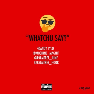 Whatchu Say? - Single