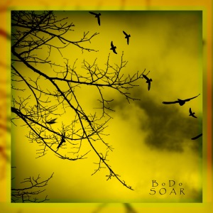 Soar