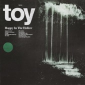 TOY - Mistake a Stranger