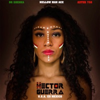 U.S.A Es México (feat. Mellow Man Ace, DJ Aztek 732 & Dr. Shenka) - Single - Héctor Guerra