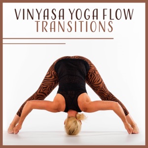 Vinyasa Yoga Flow Transitions: Exercises to Safely Navigate, Suppleness and Radiant Health, Balancing Poses, Marma Energy Points