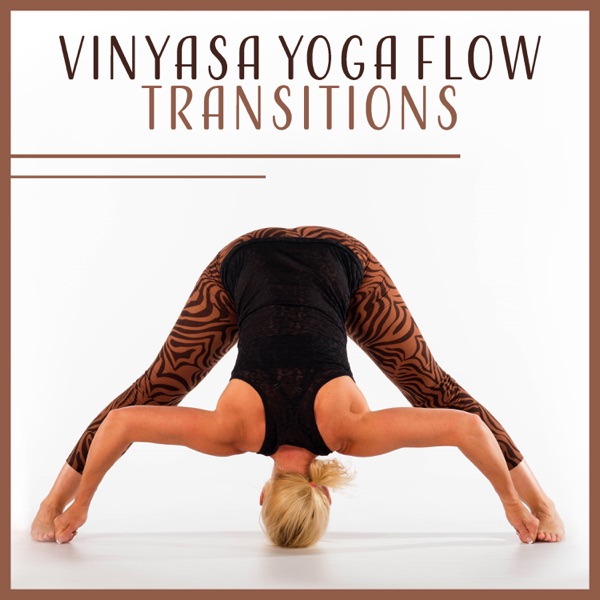 Vinyasa Yoga Flow Transitions: Exercises to Safely Navigate, Suppleness and Radiant Health, Balancing Poses, Marma Energy Points