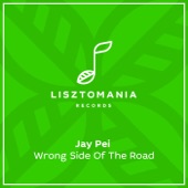 Wrong Side of the Road (Lucas Keizer Remix) artwork