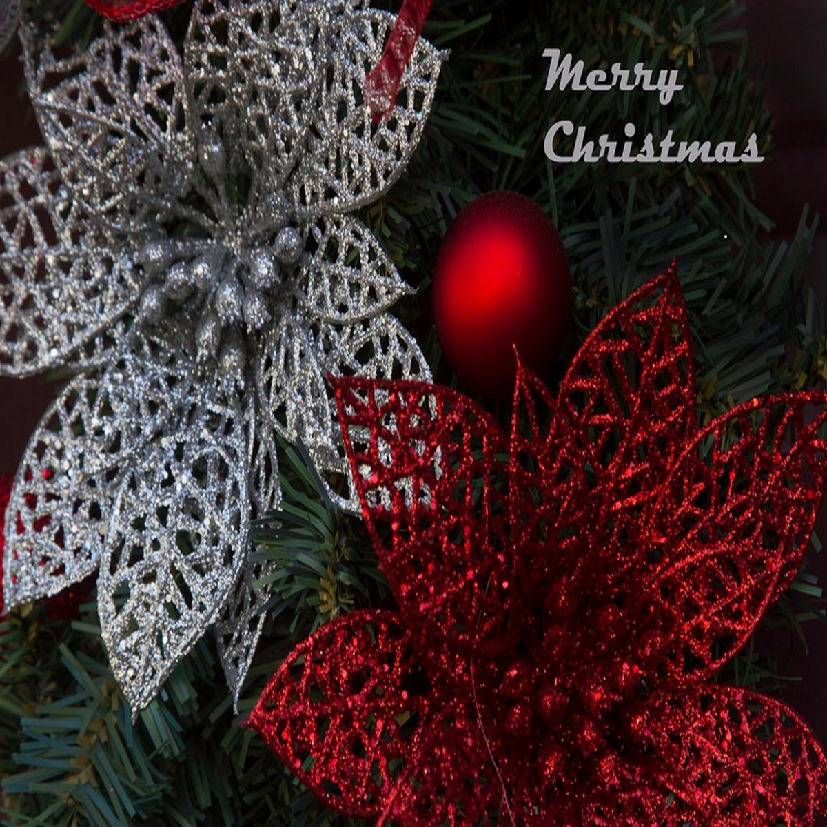 ‎What Does Christmas Mean Single Album by Craig Cornish Apple Music