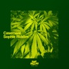 Sophie Riddim cover art