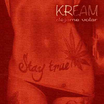 Déjame Volar - Single - Matasvandals